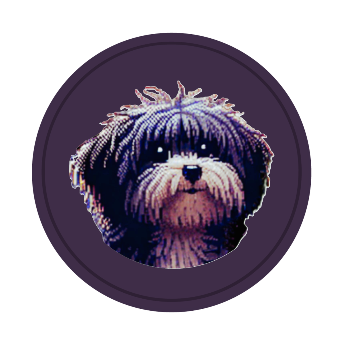Hailey Coin Logo